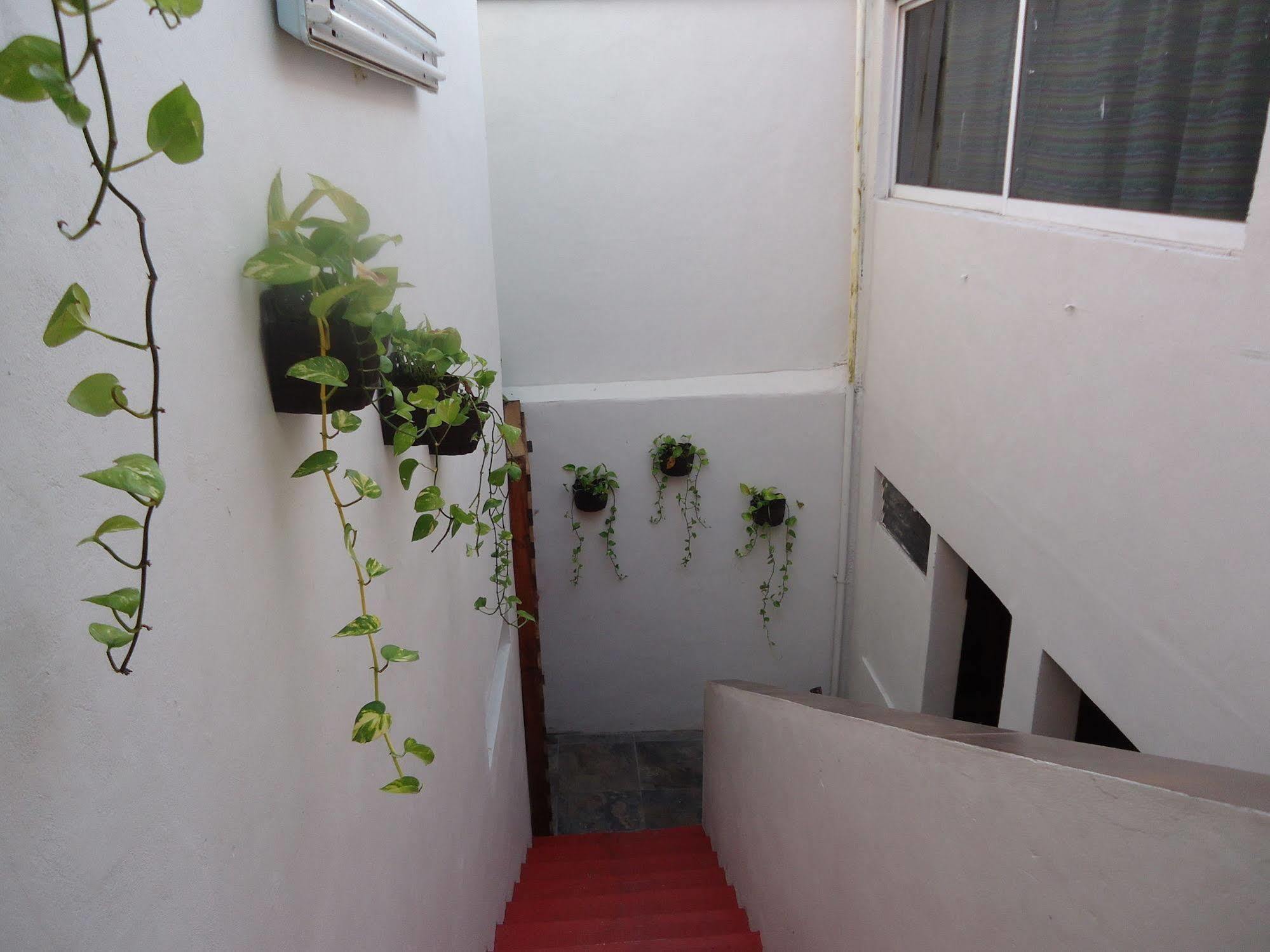 Humble Bumble Hostel Playa del Carmen Exteriér fotografie
